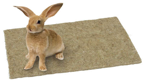 KERBL Hanf Nagerteppich